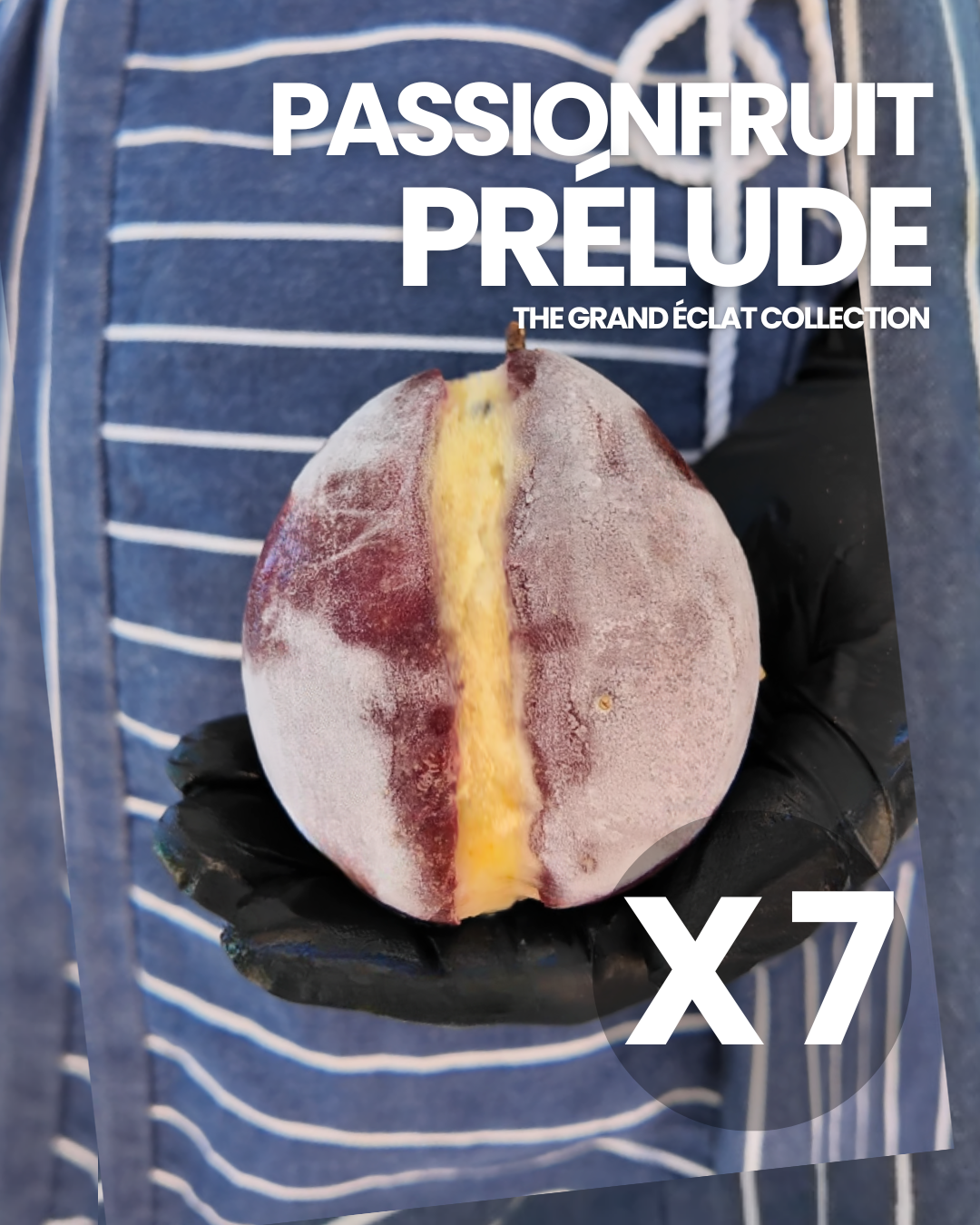 The Grand Éclat Collection