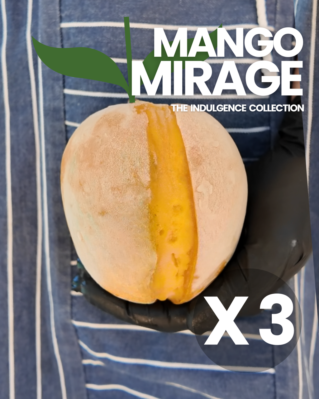 The Indulgence Collection