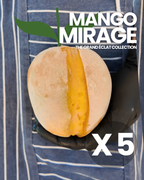 The Grand Éclat Collection