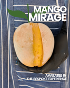 The Bespoke Experience